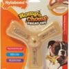 NylaBone Romp 'n Chomp Kip