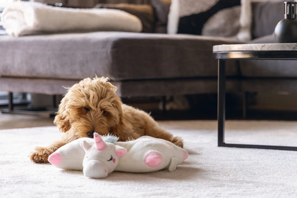 Beeztees Warmteknuffel Voor Pups Mon - Image 3