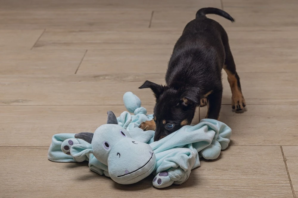 Beeztees Puppy Knuffeldoek Draak M - Image 4