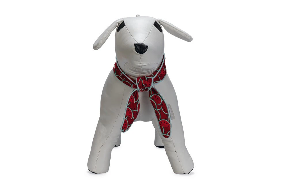 Beeztees Halsband Quick Cooler Meloenie - Image 2