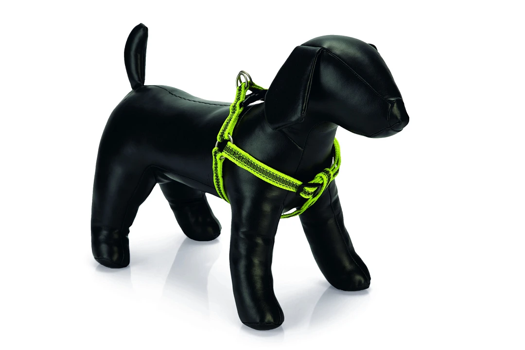 Beeztees Borsttuig Cabo Geel - Image 2