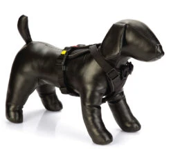 Beeztees Premium Y-Tuig Parinca Zwart