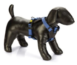 Beeztees Premium Y-Tuig Parinca Blauw