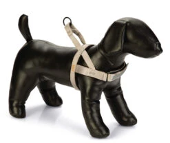 Beeztees Premium Borsttuig Parinca Lichtgrijs