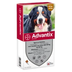Advantix 600 6 Pipetten