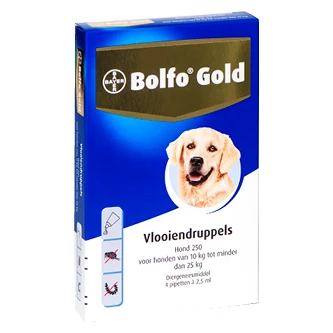 Bolfo Gold 250 Hond 4 Pipetten