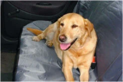 Beeztees Autodeken Universeel 110 X 130 Cm Lichtgrijs