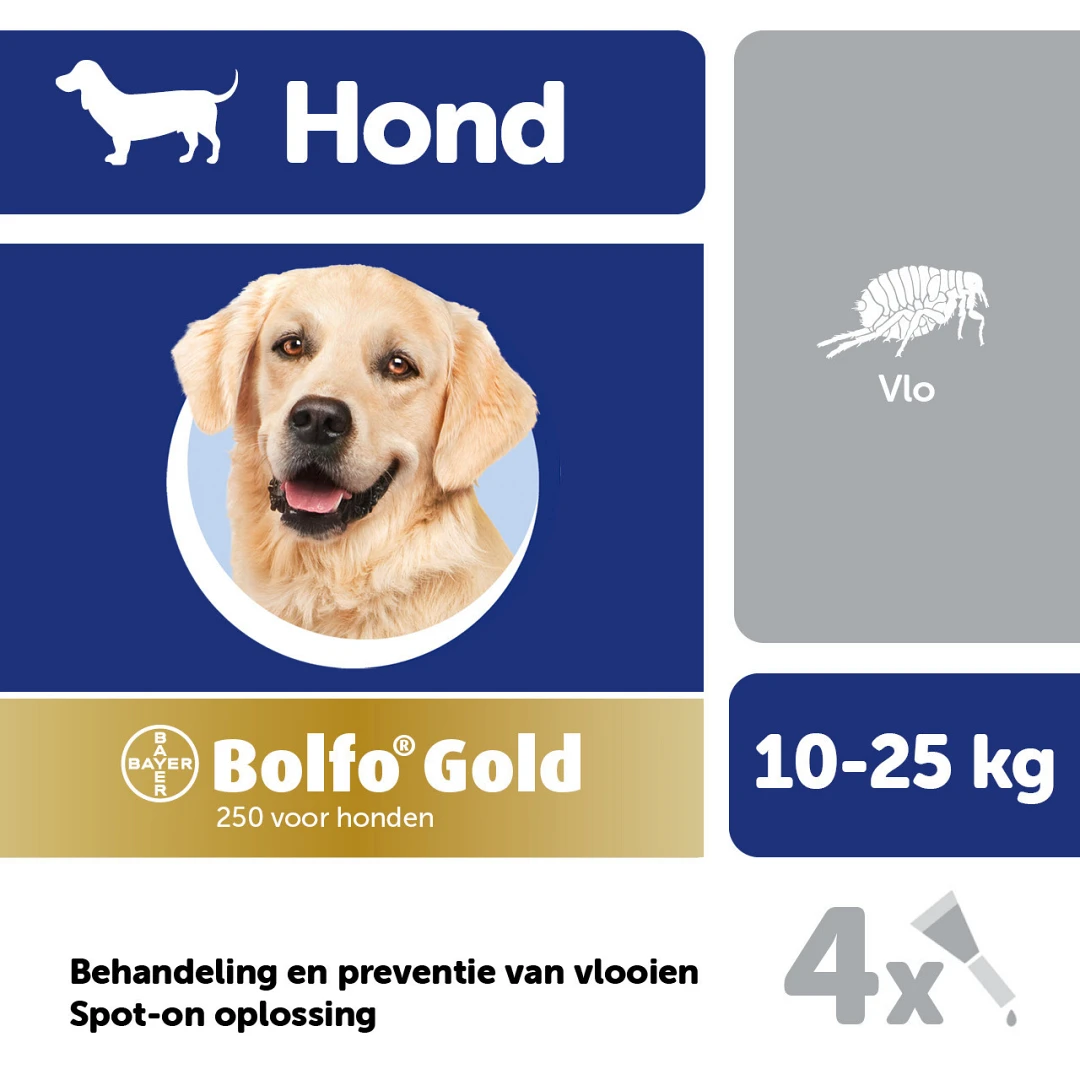 Bolfo Gold 250 Hond 4 Pipetten - Image 2