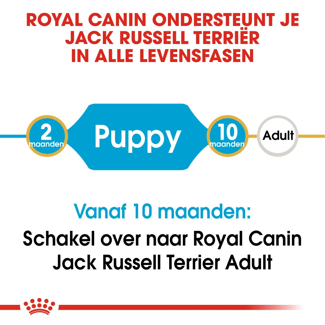 Royal Canin Hondenvoer Jack Russell Puppy 3 Kg - Image 4