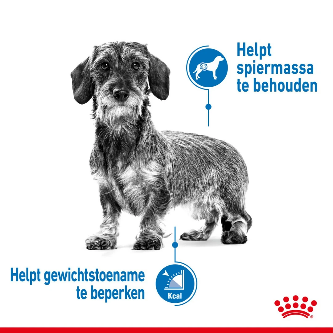 Royal Canin Hondenvoer Light Weight Care 12 X 85 Gr - Afbeelding 4